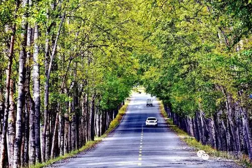 秋染高原,青海最美的季节来了