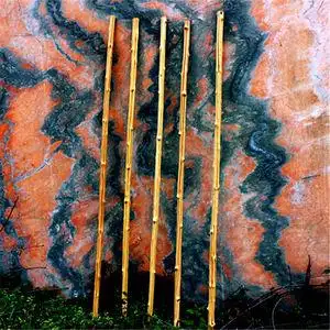 武当万寿寿藤手杖实木直拐杖太极鞭杆武术棍登山棍六道木老人拐杖