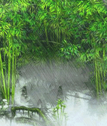 352_416gif 动态图 动图