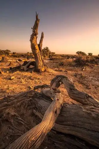 第一面见到他,扑面而来的是沧桑又悲凉的气息.