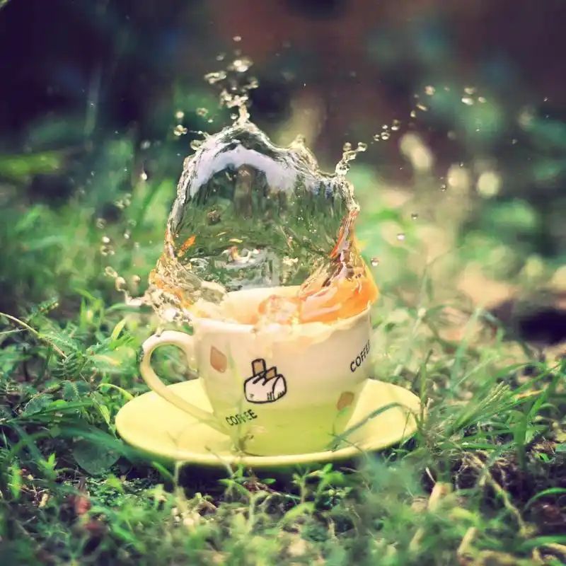 首页 唯美图片 唯美意境清新唯美户外超漂亮高清意境图片(7)