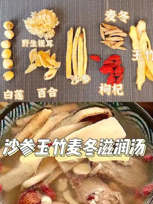 沙参玉竹麦冬汤滋阴润燥