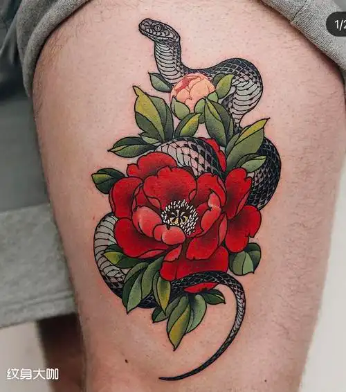 蛇与牡丹_纹身图案手稿图片_曲靖·九宝的纹身作品集
