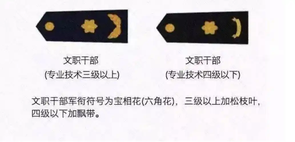 科普军队领章将官与文职区别