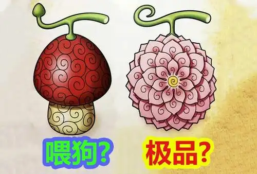 原创草帽海贼团两大果实大曝光,难怪罗宾的是个宝,而乔巴的拿去喂狗