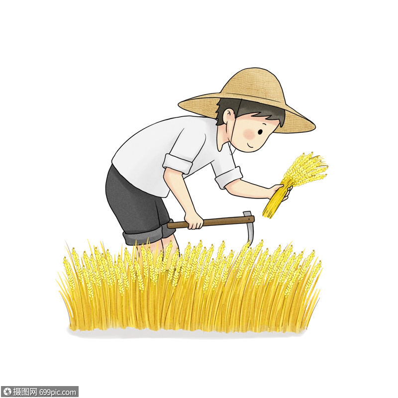 秋收麦田收割高清图片素材