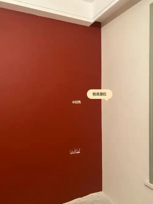 立邦勃艮第红太绝了