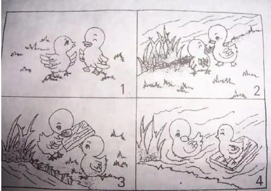 看图写话 聪明的小鸭 阳光明媚的一天,小鸡和小鸭约好一起去森林里