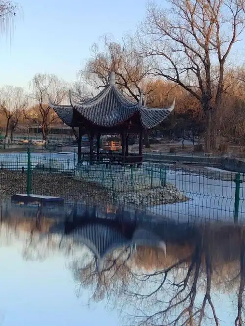 冬游陶然亭公园
