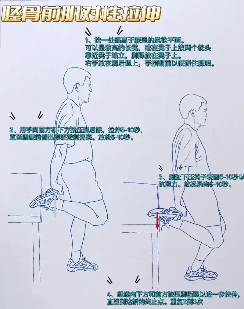 由于胫骨前肌位于胫骨前侧,加上踝关节活动范围的限制,拉伸胫骨前肌是