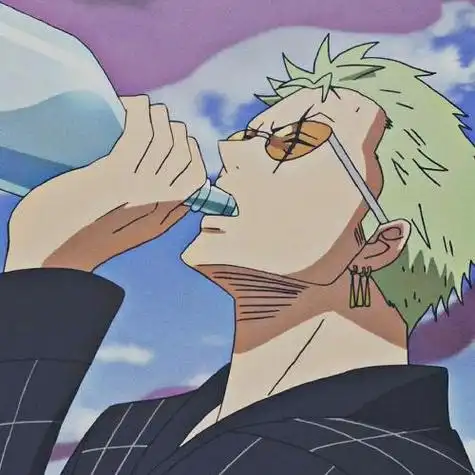 海贼王头像是你们的老公索隆