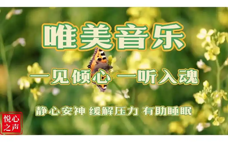 超好听的轻音乐 - 唯美风景,静心安神,减压解压,有助睡眠(128)