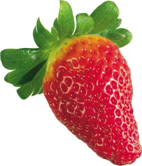 水果 草莓 png 透明图片 免抠图