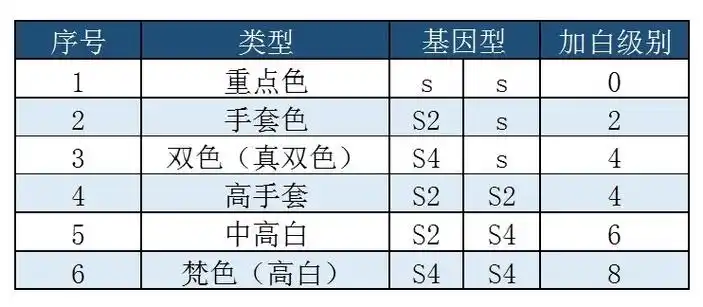 海蓝重点色布偶猫详解,附布偶猫繁育配色表