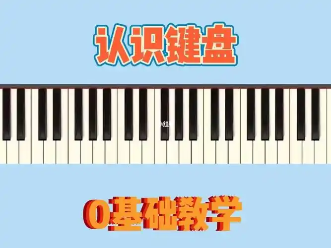 电子琴教学基础认识键盘
