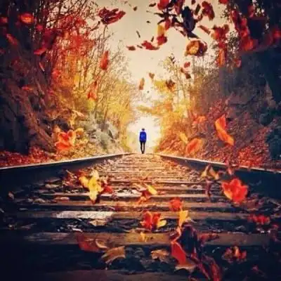 秋日旅拍灵感(前后景,前景撒落叶蹲下拍)