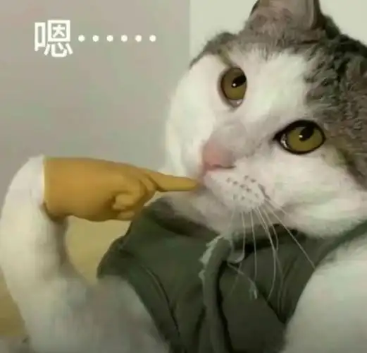 谁来治治内娱帅哥的性缩力?