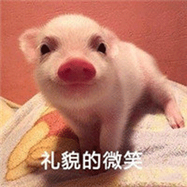 萌宠猪小猪宠物猪礼貌的微笑搞怪gif动图_动态图_表情包下载_soogif