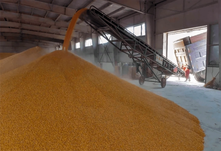 如何对粮食仓库进行温湿度环境监测