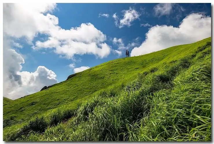 高山草甸-----武功山-中关村在线摄影论坛