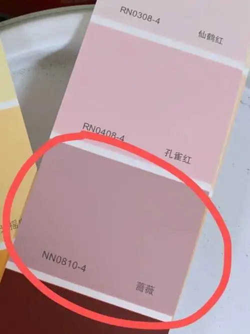 9月26喷漆 10平方的立邦蔷薇