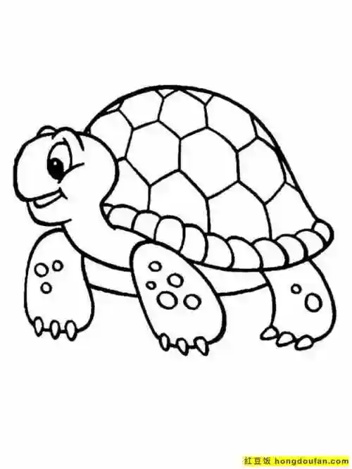 5到8岁小朋友们最喜欢的小乌龟宠物卡通涂色-红豆饭小学生简笔画大全