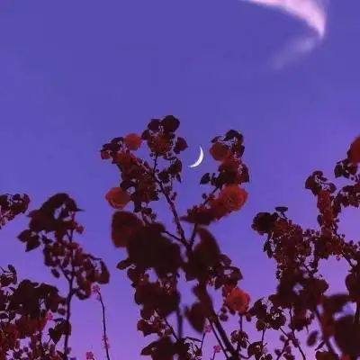 适合爸爸妈妈微信头像 中老年微信头像风景图片