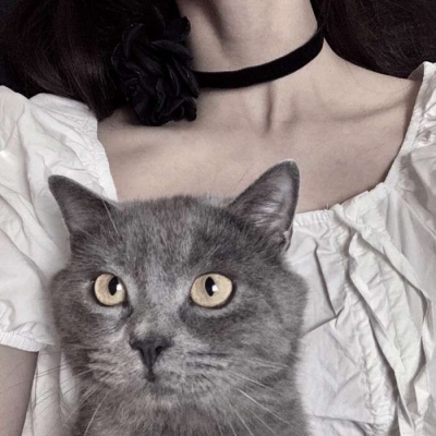 温柔抱猫部位闺蜜头 遇到那么多猫咪 还是你最可爱_女生头像_我要个性