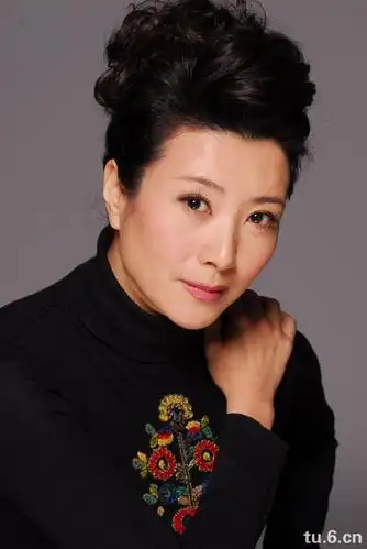 立领衬衣女立领衬衣女款立领衬衣女长袖图片