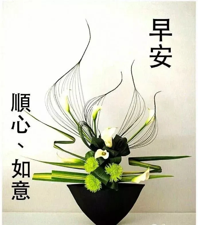 新的一周早上好祝福语图片美丽的早晨唯美早安问候语带图片