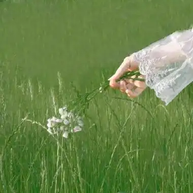 高清好看的小清新绿色女生真人头像