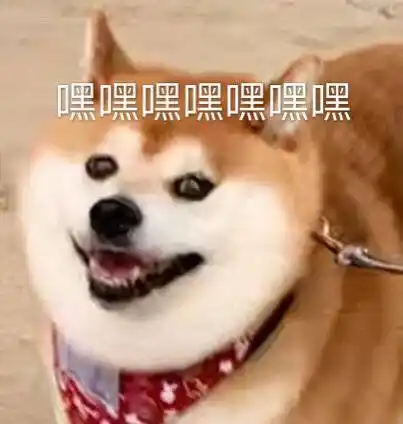 嘿嘿嘿嘿嘿嘿嘿嘿嘿嘿嘿嘿表情