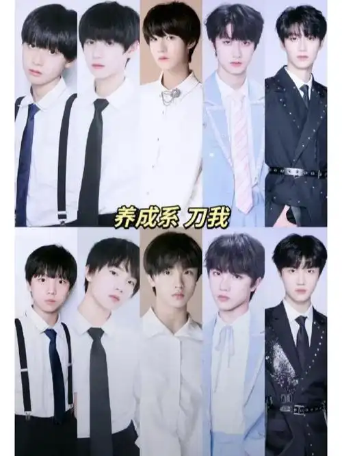 tf家族三代