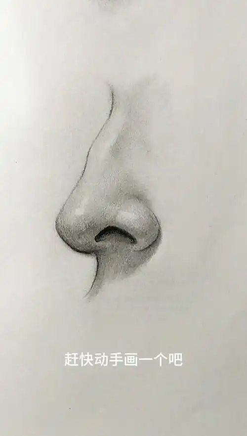 超简单画素描鼻子方法理解鼻子的结构是前提