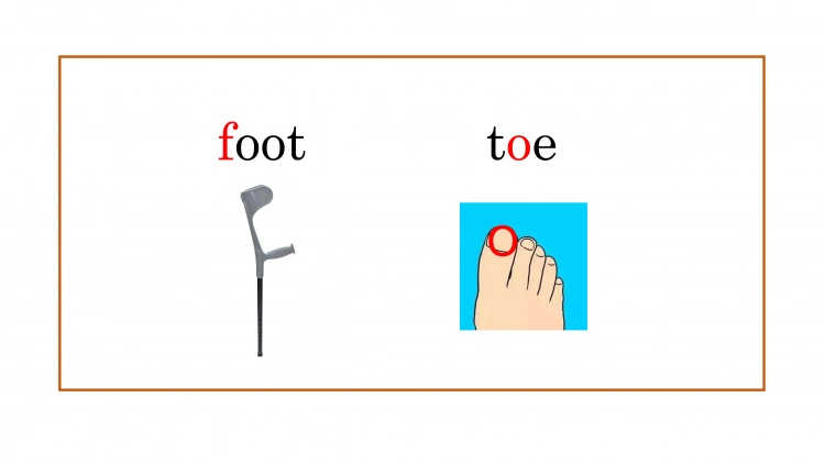 foot, f-o-o-t,最左边的f像不像拐杖?