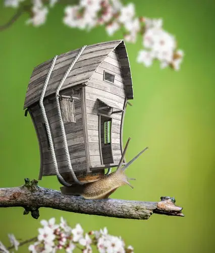 ps-"蜗居"趣味创意合成