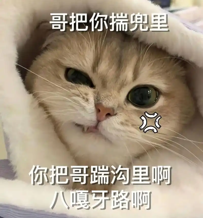 八嘎牙路#发给对象的表情包 #表情包 #萌宠表情包 #艾特你 - 抖音