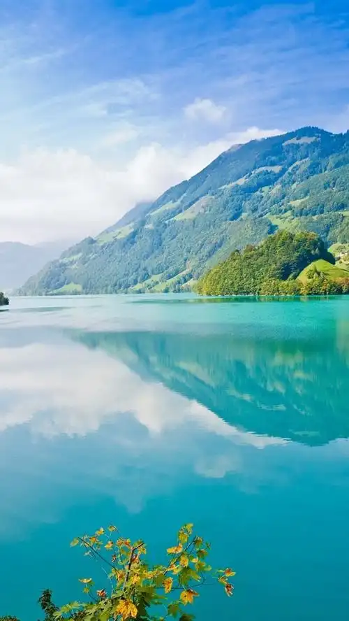 首页 自然与风景