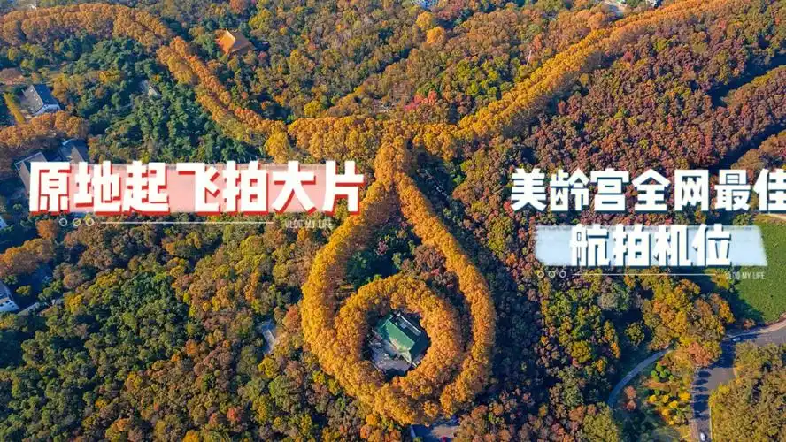 中山陵美龄宫最佳航拍机位送你同款大项链