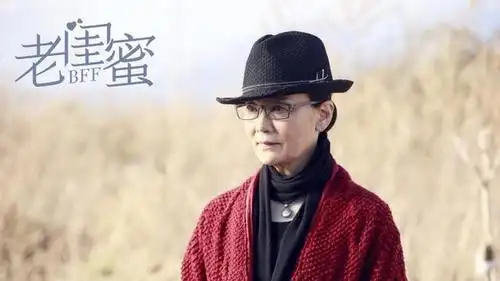 老闺蜜定档央视潘虹成社区女神与王馥荔宋晓英演姐妹