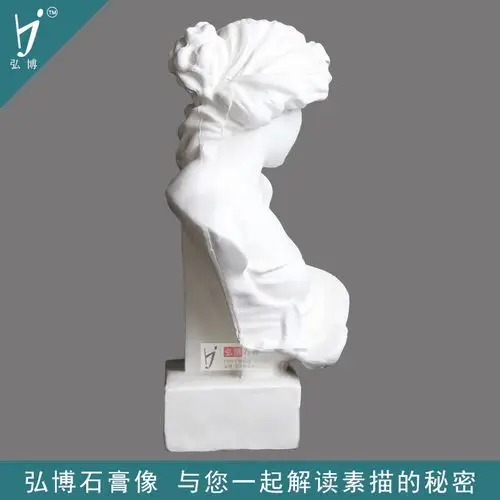 弘博 小琴女 石膏像教具素描静物写生美术教具头像胸像厂家直销