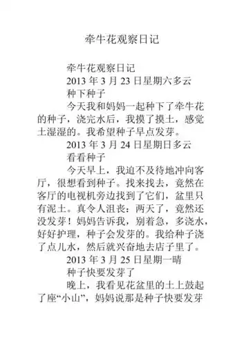牵牛花观察日记