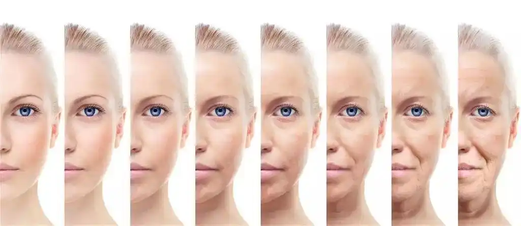 送您美丽,还您自信——聊聊面部衰老