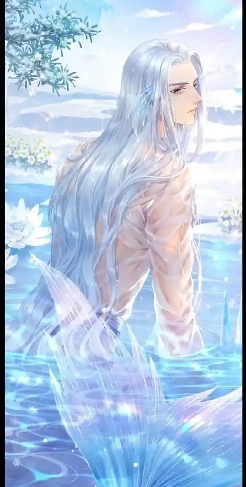 【精选高清壁纸】动漫二次元,美人鱼 鲛人吟,纯美.