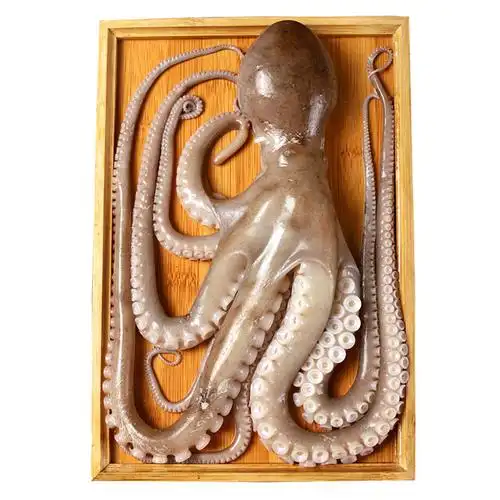 爆头八爪鱼鲜活冷冻网红长腿大个章鱼海鲜新鲜冷冻章鱼