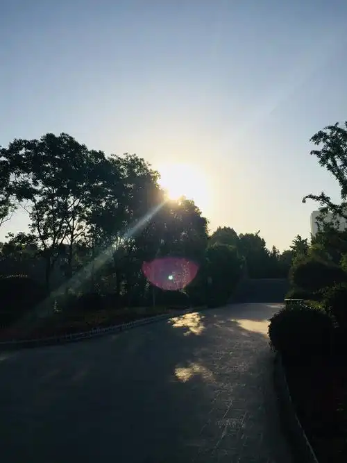 清晨的第一缕阳光