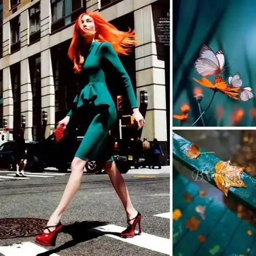 孔雀蓝最佳色彩搭配