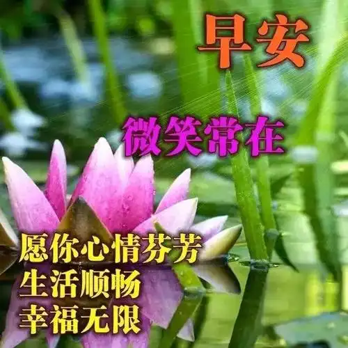 今天最新早上好问候语清晨阳光暖心的早安问候语录