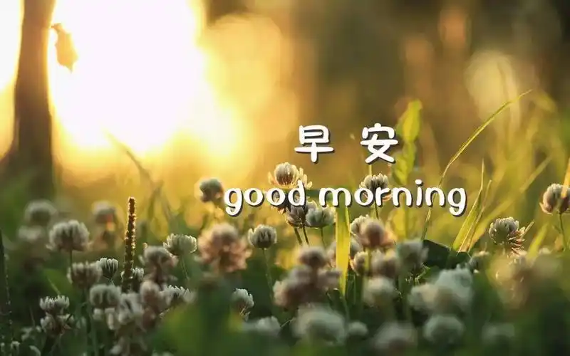 good morning早安图片带字,高清图片,电脑桌面-壁纸族