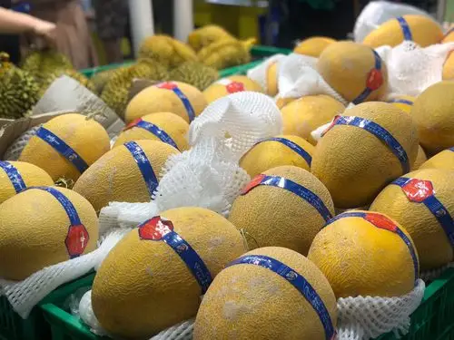 最后,又买了我最爱的水果之一—哈密瓜